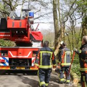 Grote tak breekt af Westeinde Noordwijkerhout